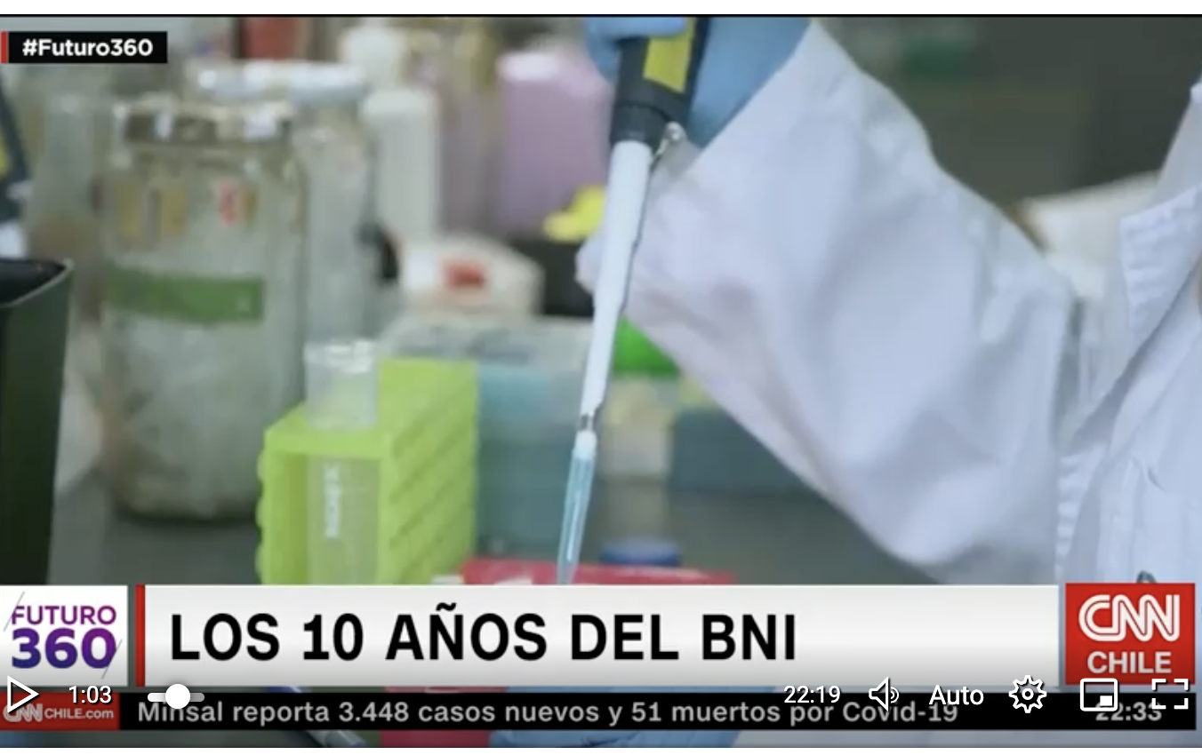 prensa cnn